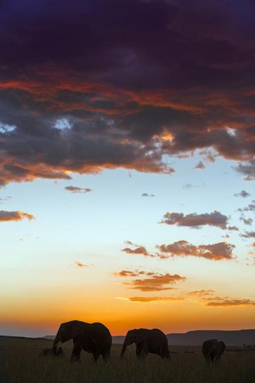 Photographic Print, , large