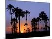 Premium Photographic Print
