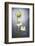 Nigella, Black Cumin, Flower, Blossom, Plant, Still Life, Green, White-Axel Killian-Framed Photographic Print