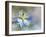 Nigella-Heidi Westum-Framed Photographic Print