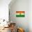 Niger Flag Design with Wood Patterning - Flags of the World Series-Philippe Hugonnard-Premium Giclee Print displayed on a wall