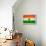 Niger Flag Design with Wood Patterning - Flags of the World Series-Philippe Hugonnard-Framed Stretched Canvas displayed on a wall