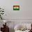 Niger Flag Design with Wood Patterning - Flags of the World Series-Philippe Hugonnard-Framed Stretched Canvas displayed on a wall