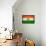 Niger Flag Design with Wood Patterning - Flags of the World Series-Philippe Hugonnard-Framed Stretched Canvas displayed on a wall