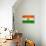 Niger Flag Design with Wood Patterning - Flags of the World Series-Philippe Hugonnard-Framed Stretched Canvas displayed on a wall