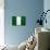 Nigeria Flag Design with Wood Patterning - Flags of the World Series-Philippe Hugonnard-Mounted Art Print displayed on a wall