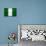 Nigeria Flag Design with Wood Patterning - Flags of the World Series-Philippe Hugonnard-Mounted Art Print displayed on a wall