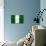 Nigeria Flag Design with Wood Patterning - Flags of the World Series-Philippe Hugonnard-Premium Giclee Print displayed on a wall