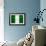 Nigeria Flag Design with Wood Patterning - Flags of the World Series-Philippe Hugonnard-Framed Premium Giclee Print displayed on a wall