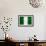Nigeria Flag Design with Wood Patterning - Flags of the World Series-Philippe Hugonnard-Framed Premium Giclee Print displayed on a wall