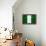 Nigeria Flag Design with Wood Patterning - Flags of the World Series-Philippe Hugonnard-Framed Stretched Canvas displayed on a wall