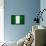 Nigeria Flag Design with Wood Patterning - Flags of the World Series-Philippe Hugonnard-Framed Stretched Canvas displayed on a wall