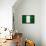 Nigeria Flag Design with Wood Patterning - Flags of the World Series-Philippe Hugonnard-Framed Stretched Canvas displayed on a wall