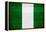 Nigeria Flag Design with Wood Patterning - Flags of the World Series-Philippe Hugonnard-Framed Stretched Canvas