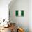 Nigeria Flag Design with Wood Patterning - Flags of the World Series-Philippe Hugonnard-Framed Stretched Canvas displayed on a wall