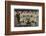 Nigeria's Football Team-null-Framed Photographic Print