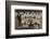 Nigeria's Football Team-null-Framed Photographic Print