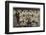 Nigeria's Football Team-null-Framed Photographic Print