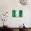 Nigerian Flag-daboost-Art Print displayed on a wall