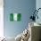 Nigerian Flag-daboost-Art Print displayed on a wall