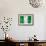 Nigerian Flag-daboost-Framed Art Print displayed on a wall