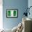 Nigerian Flag-daboost-Framed Art Print displayed on a wall