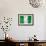 Nigerian Flag-daboost-Framed Art Print displayed on a wall