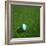 Nigerian Soccerball Lying on Grass-zentilia-Framed Art Print