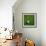 Nigerian Soccerball Lying on Grass-zentilia-Framed Art Print displayed on a wall