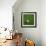 Nigerian Soccerball Lying on Grass-zentilia-Framed Art Print displayed on a wall