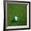 Nigerian Soccerball Lying on Grass-zentilia-Framed Art Print