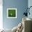 Nigerian Soccerball Lying on Grass-zentilia-Framed Art Print displayed on a wall