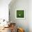 Nigerian Soccerball Lying on Grass-zentilia-Framed Art Print displayed on a wall