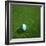 Nigerian Soccerball Lying on Grass-zentilia-Framed Art Print
