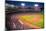 Night baseball game at historic Fenway Park, Boston Red Sox, Boston, Ma., USA, May 20, 2010, Red...-null-Mounted Photographic Print