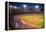 Night baseball game at historic Fenway Park, Boston Red Sox, Boston, Ma., USA, May 20, 2010, Red...-null-Framed Premier Image Canvas