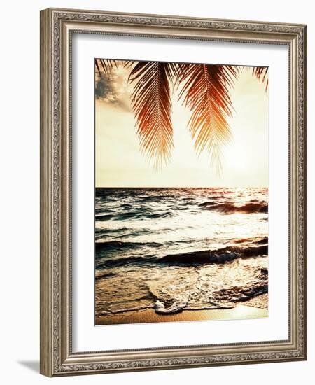 Night Beach-Tai Prints-Framed Photographic Print