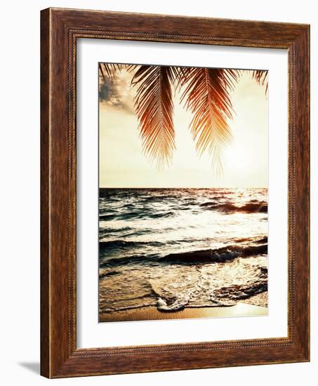 Night Beach-Tai Prints-Framed Photographic Print