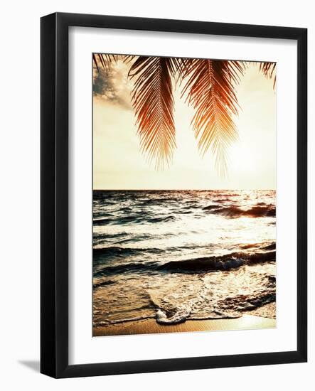 Night Beach-Tai Prints-Framed Photographic Print