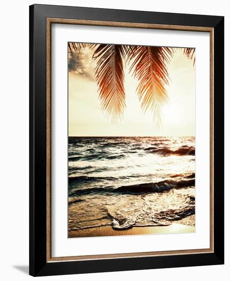 Night Beach-Tai Prints-Framed Photographic Print