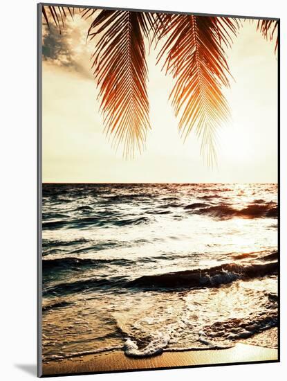 Night Beach-Tai Prints-Mounted Photographic Print