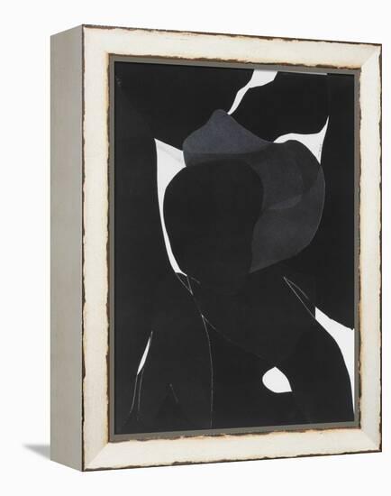 Night Bloom I-Rob Delamater-Framed Stretched Canvas
