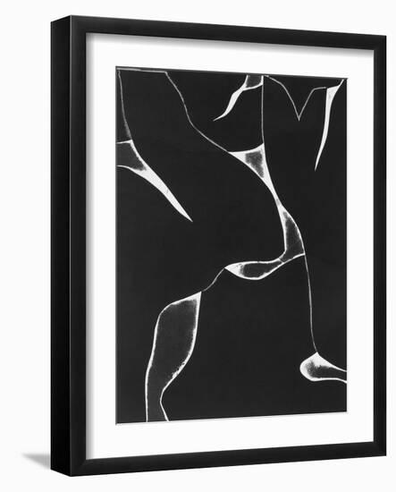Night Bloom II-Rob Delamater-Framed Art Print