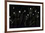 Night Bloom-Brent Abe-Framed Giclee Print