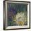 Night Bloom-Bill Jackson-Framed Giclee Print