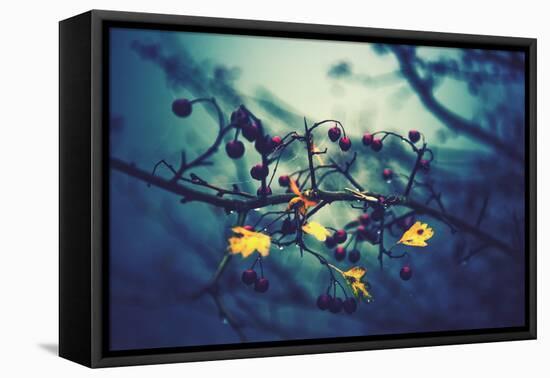 Night Blue-Philippe Sainte-Laudy-Framed Premier Image Canvas