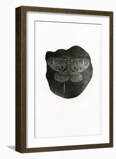 Night Butterfly, 2016-Bella Larsson-Framed Giclee Print