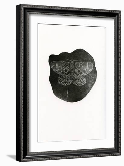 Night Butterfly, 2016-Bella Larsson-Framed Giclee Print
