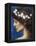 Night, c.1880-85-Edward Robert Hughes-Framed Premier Image Canvas