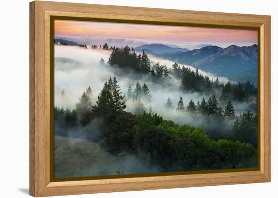 Night Comes Down Fog Rolls In, Northern California Coast-Vincent James-Framed Premier Image Canvas